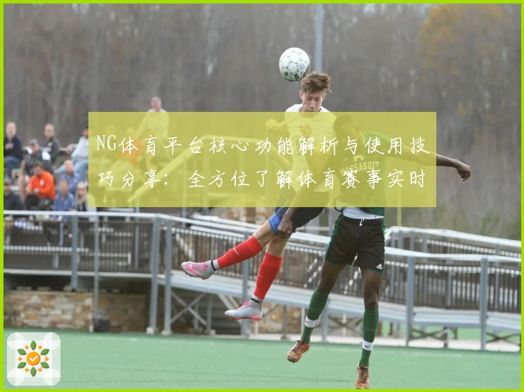 NG体育平台核心功能解析与使用技巧分享：全方位了解体育赛事实时体验